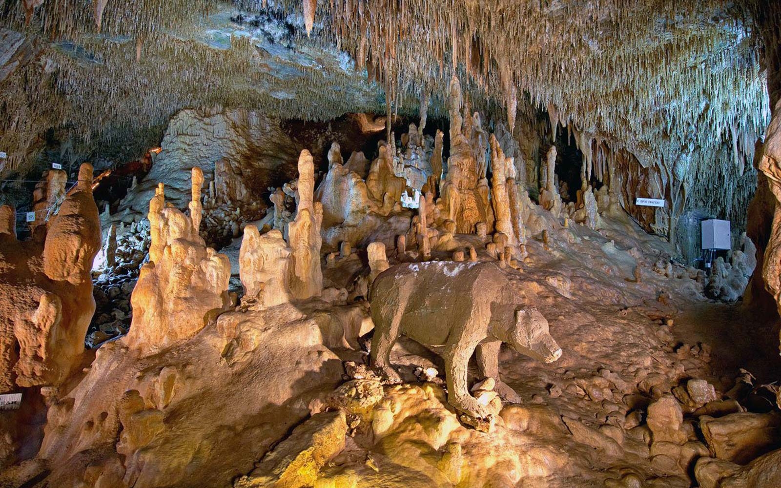 Petralona Cave